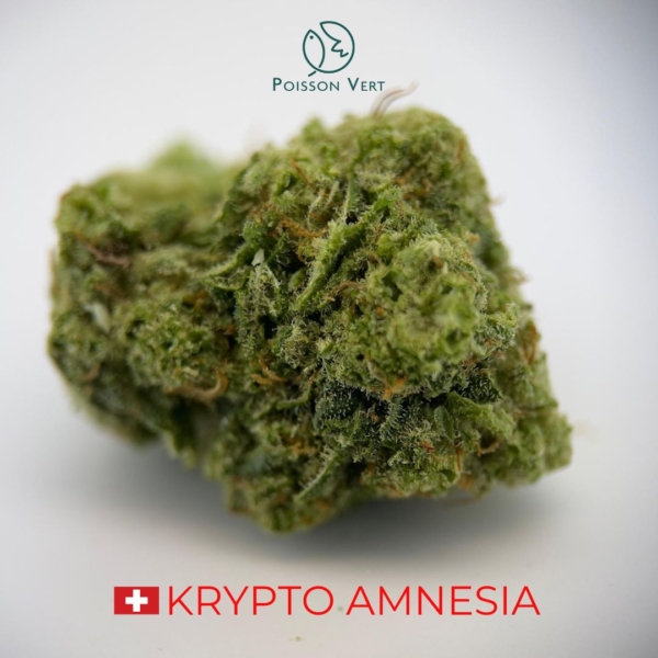 KRYPTO AMNESIA CBD - INDOOR - SUISSE