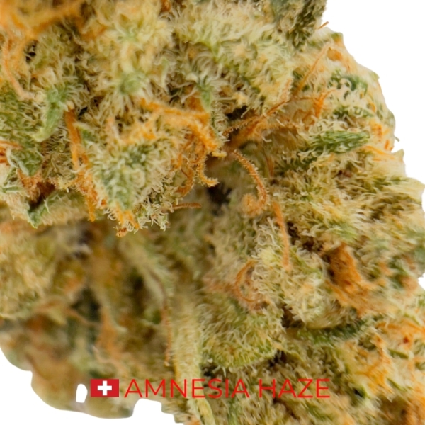 AMNESIA HAZE CBD - INDOOR - SUISSE – Image 2