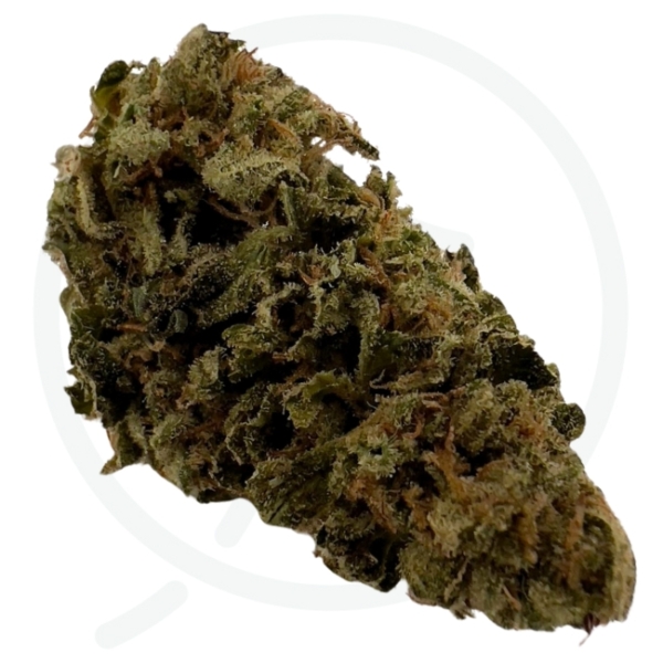 SKUNK CRASHER CBD - INDOOR - FRANCE – Image 2