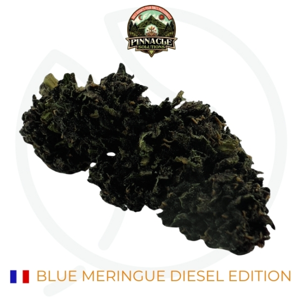BLUE MERINGUE DIESEL EDITION CBD - SOL VIVANT