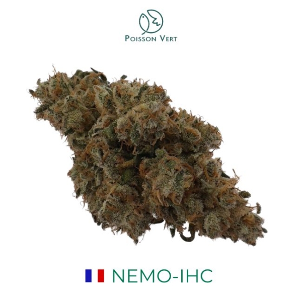 NEMO-IHC CBD - AQUAPONIE INDOOR - FRANCE