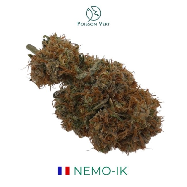 NEMO-IK CBD - AQUAPONIE INDOOR - FRANCE