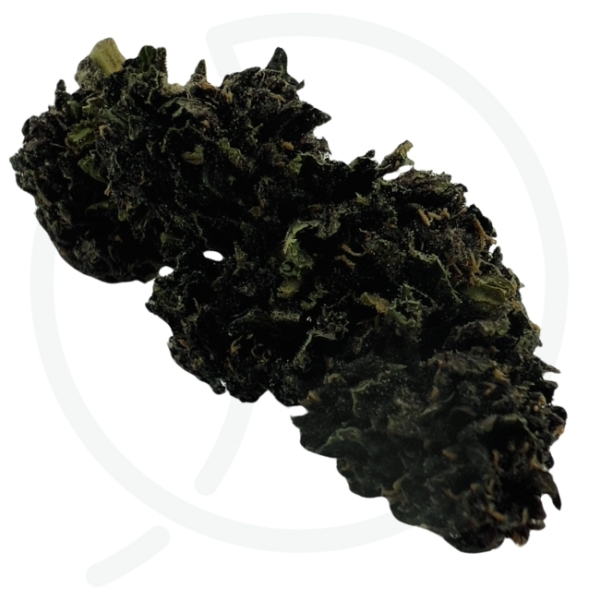BLUE MERINGUE DIESEL EDITION CBD - SOL VIVANT – Image 2