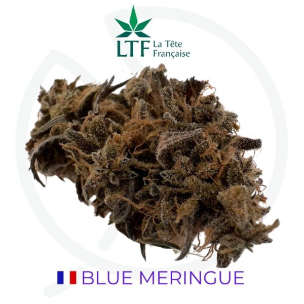 BLUE MERINGUE CBD - INDOOR