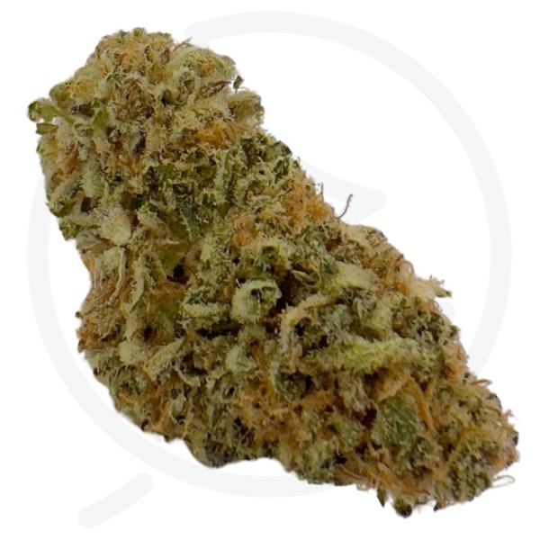 DARK SAPHIR CBD - INDOOR – Image 2