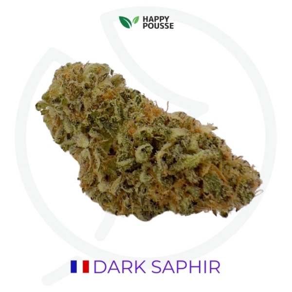 DARK SAPHIR CBD - INDOOR