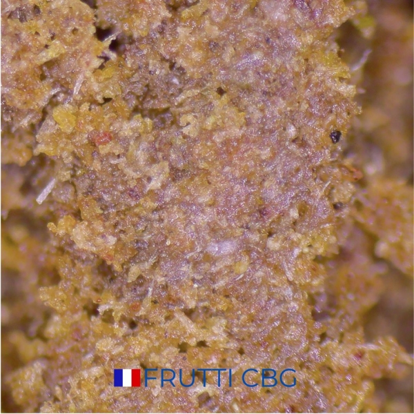 FRUTTI CBG 29% - Image 3