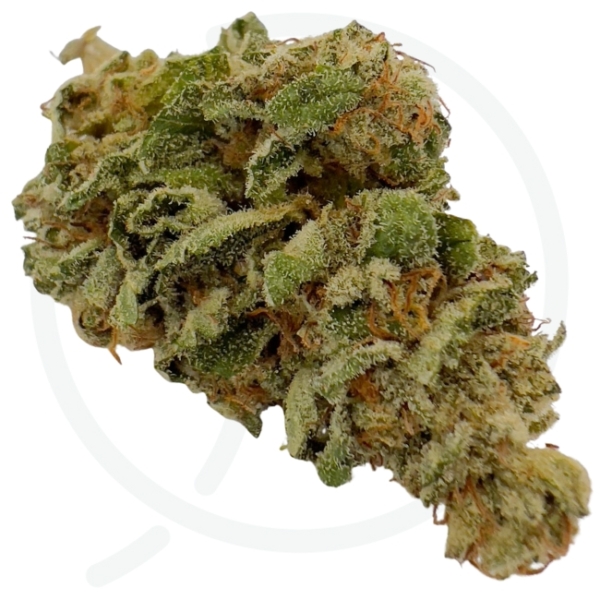 LEGENDARY LEMON CBD - GREEN HOUSE - LIGHT DEP – Image 3