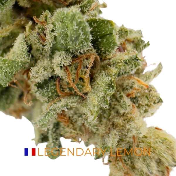 LEGENDARY LEMON CBD - GREEN HOUSE - LIGHT DEP – Image 2