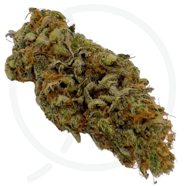 LEMON GRÂCE CBD - INDOOR – Image 2