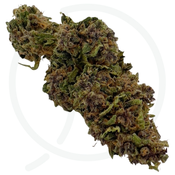 PINK PINEAPPLE DIESEL CBD - LIVING SOIL – Image 3