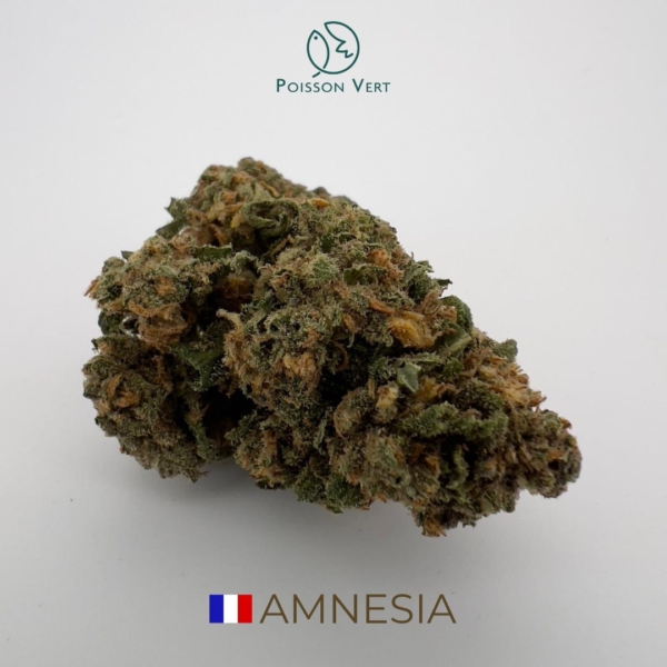 AMNESIA CBD - FRANCE