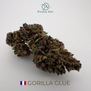 GORILLA GLUE CBD - FRANCE