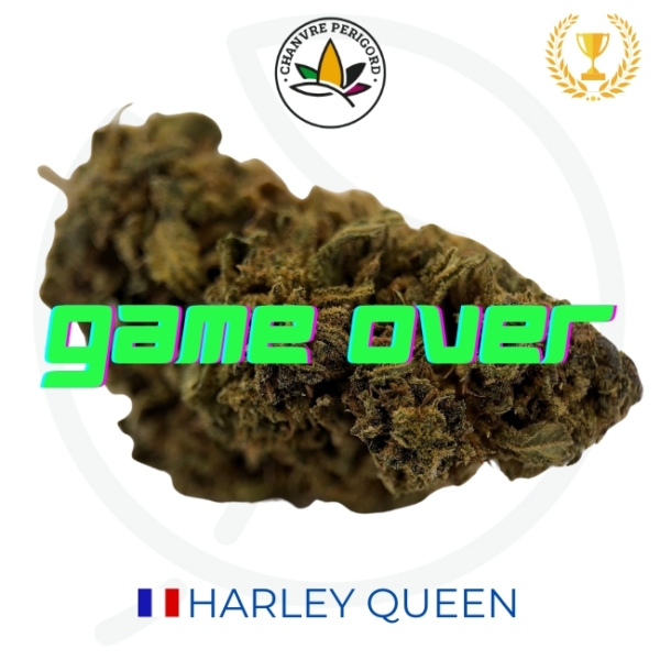 HARLEY QUEEN (HARLEQUIN) CBD - GREEN HOUSE - FRANCE