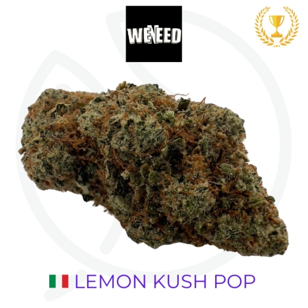 LEMON KUSH POP CBD - INDOOR - ITALIE