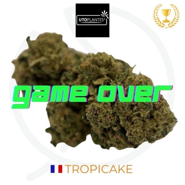TROPICAKE CBD - SOL VIVANT - FRANCE