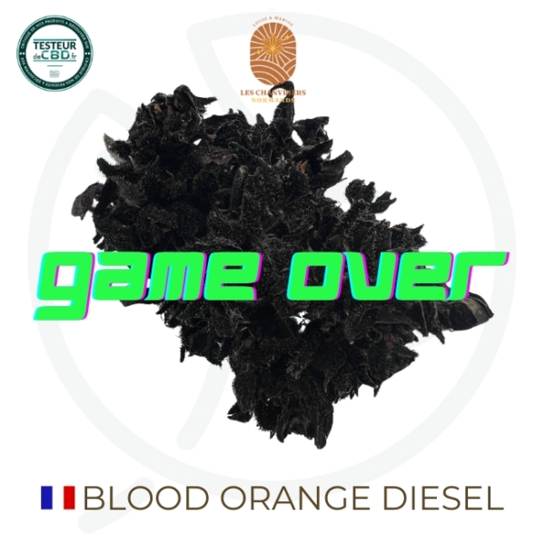 BLOOD ORANGE DIESEL CBD - OUTDOOR