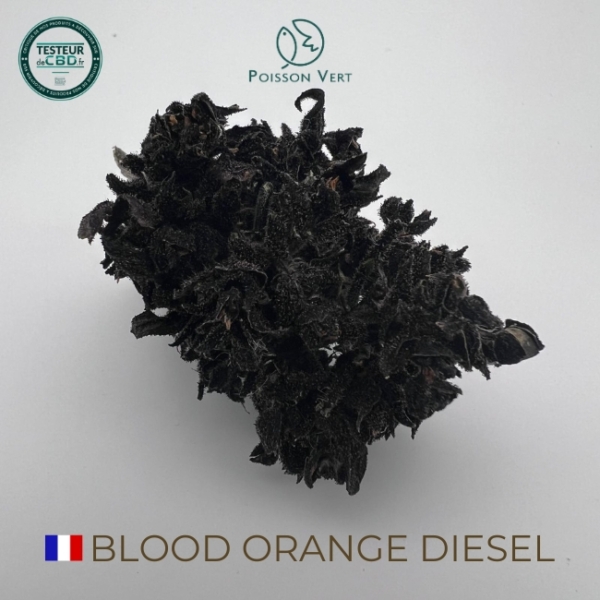 BLOOD ORANGE DIESEL CBD - FRANCE