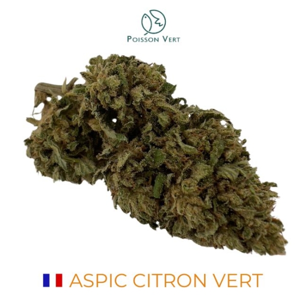 ASPIC CITRON VERT CBD - SOL VIVANT BIO - FRANCE