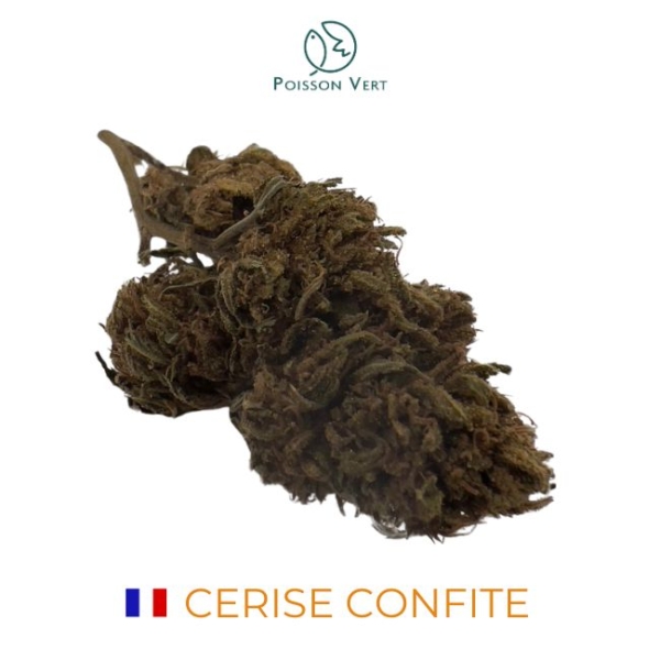 CERISE CONFITE CBD - LIVING SOIL - FRANCE