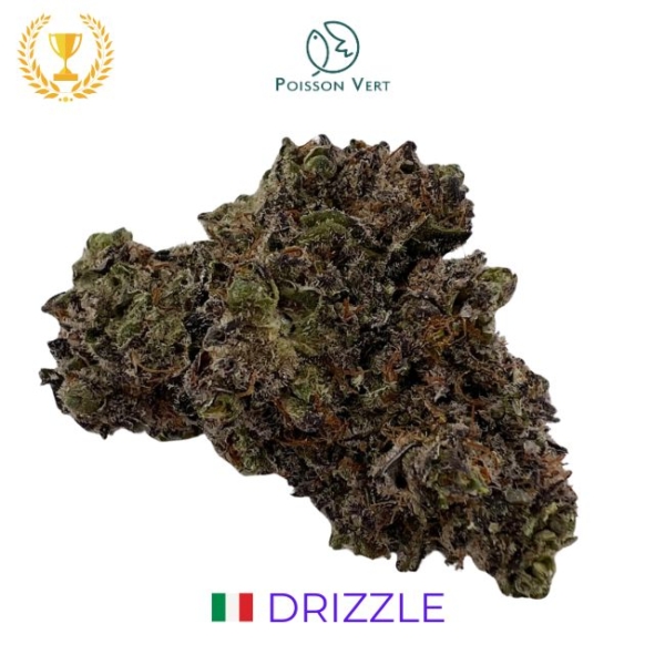 DRIZZLE CBD - INDOOR - ITALIE