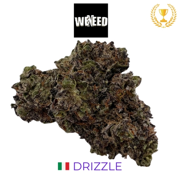 DRIZZLE CBD - INDOOR - ITALIE