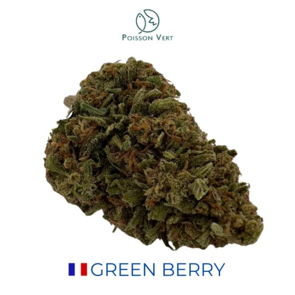 GREEN BERRY CBD - GREEN HOUSE - FRANCE