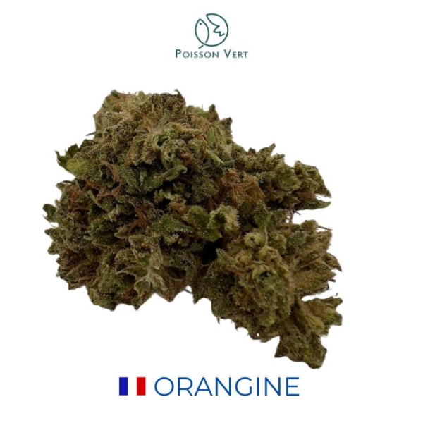 ORANGINE CBD - GREEN HOUSE - FRANCE