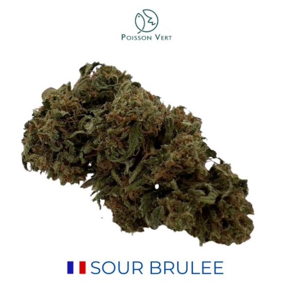 SOUR BRÛLÉE CBD - GREEN HOUSE - FRANCE