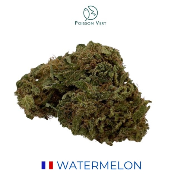 WATERMELON CBD - GREEN HOUSE - FRANCE