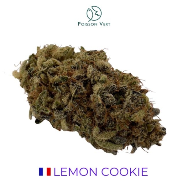 LEMON COOKIE CBD - INDOOR - FRANCE