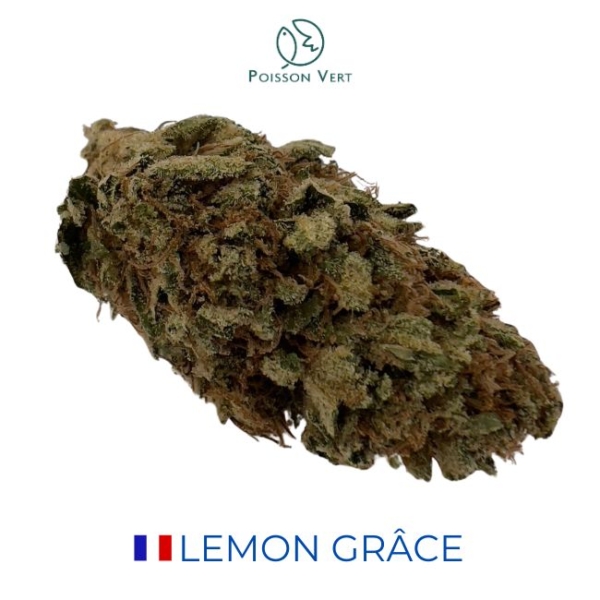 LEMON GRÂCE CBD - GREEN HOUSE - FRANCE