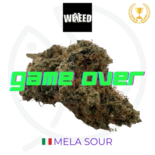 MELA SOUR CBD - INDOOR - ITALIE