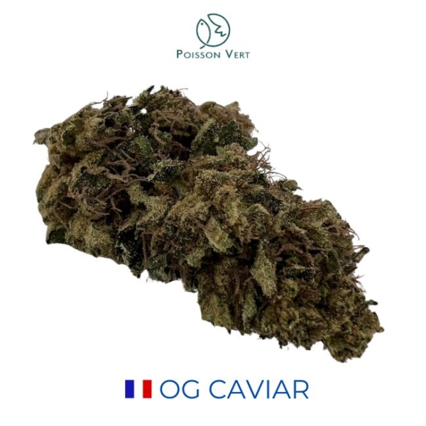 OG CAVIAR CBD - GREEN HOUSE - FRANCE