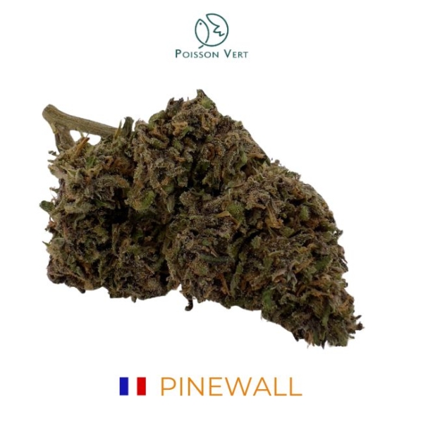 PINEWALL CBD - SOL VIVANT BIO - FRANCE