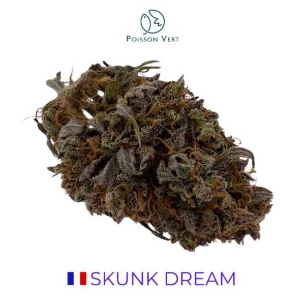 SKUNK DREAM CBD - INDOOR - FRANCE