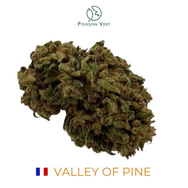 VALLEY OF PINE CBD - SOL VIVANT BIO - FRANCE