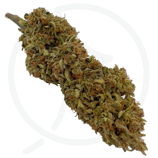 VERY CHERRY BERRY CBD - SOL VIVANT - BIO – Image 3