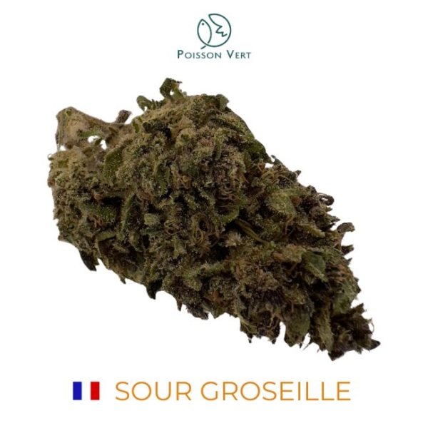 SOUR GROSEILLE CBD - SOL VIVANT BIO - FRANCE