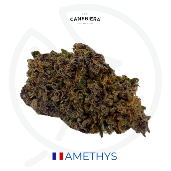 AMETHYS BIO CBD - GREEN HOUSE - FRANCE