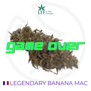 LEGENDARY BANANA MAC CBD - INDOOR