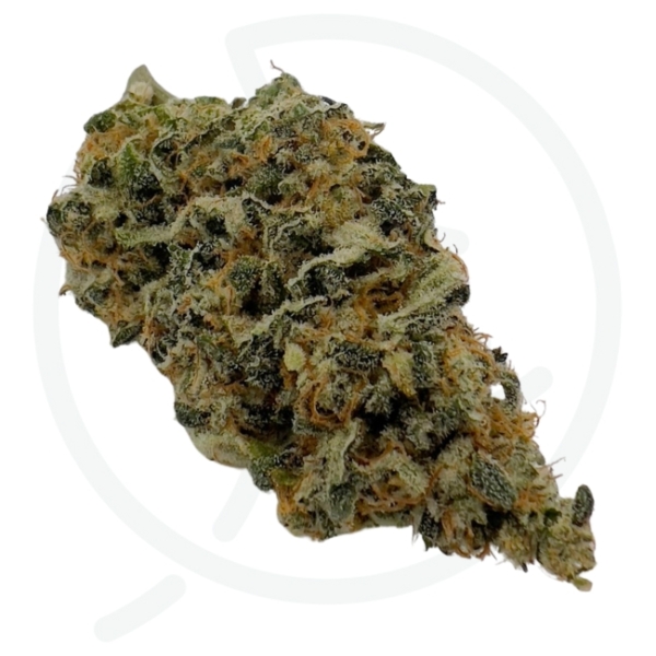 LEGENDARY SKUNK CBD - INDOOR - FRANCE – Image 2