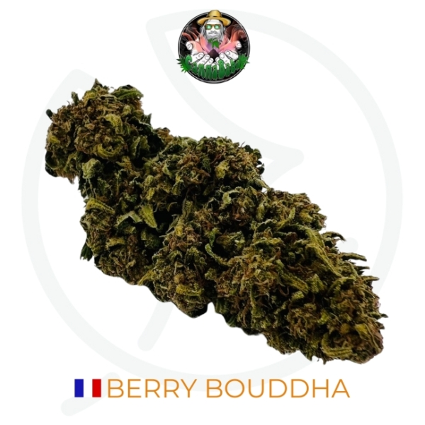 BERRY BUDDHA - LIVING SOIL