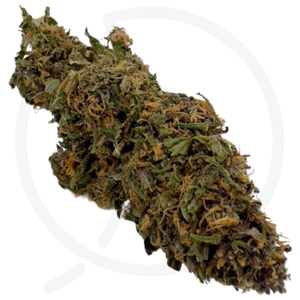 BLUE M. CBD - LIVING SOIL – Image 2