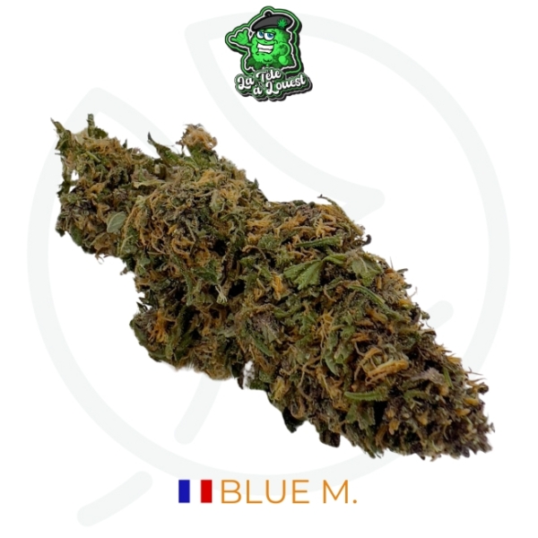 BLUE M. CBD - LIVING SOIL