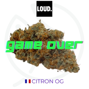 CITRON OG CBD - INDOOR