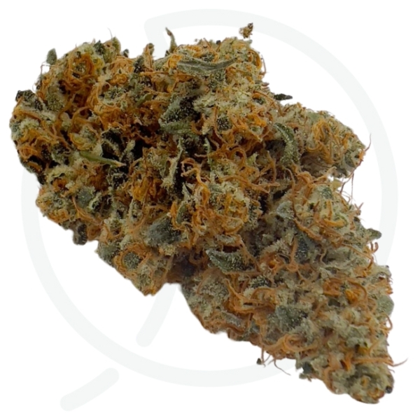 CITRON OG CBD - INDOOR – Image 2