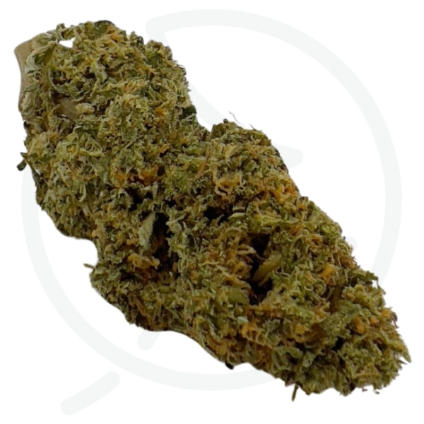 LEMON COOKIE CBD - LIVING SOIL – Image 2