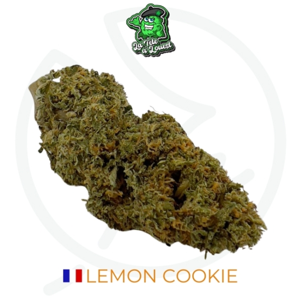 LEMON COOKIE CBD - LIVING SOIL