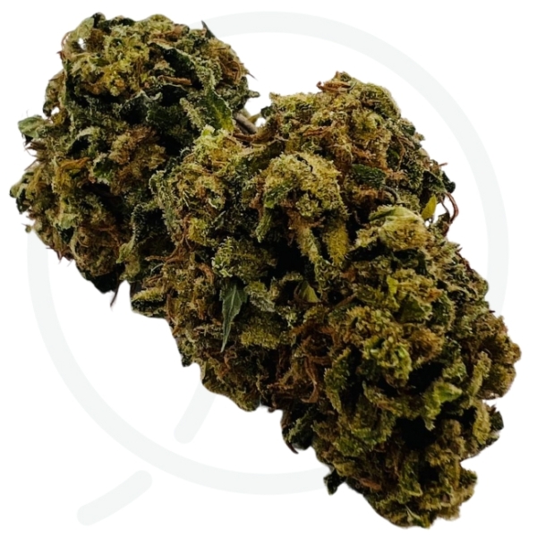 LEMON SKUNK CBD - OUTDOOR – Image 2